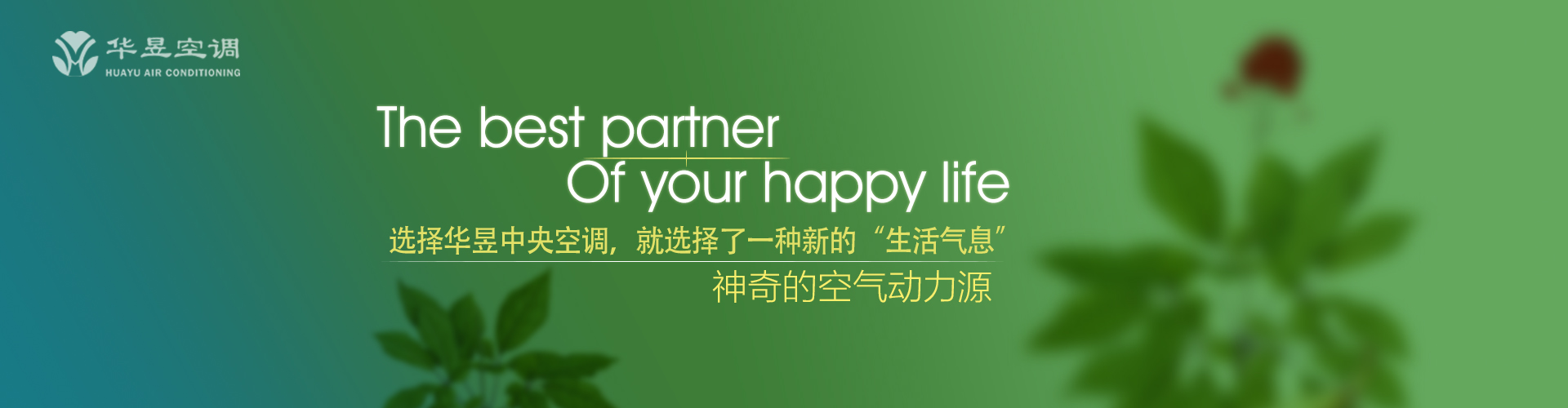 成竹在胸网